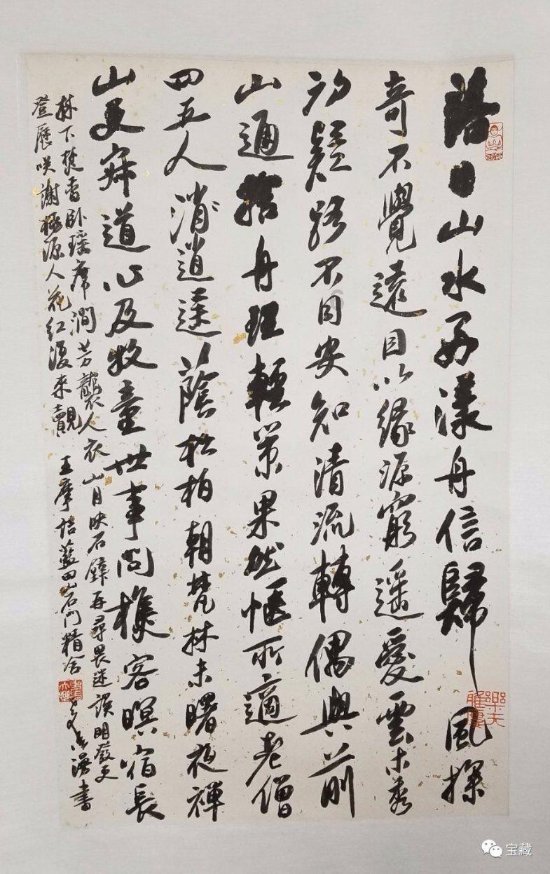 拯救机灵鸟