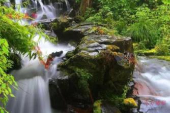 寂静岭：暴雨